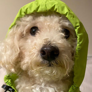 Meet your Posher, Matthew